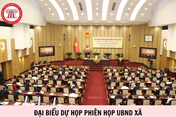 Hỏi đáp Pháp luật