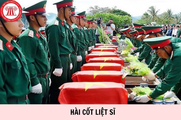 Hỏi đáp Pháp luật