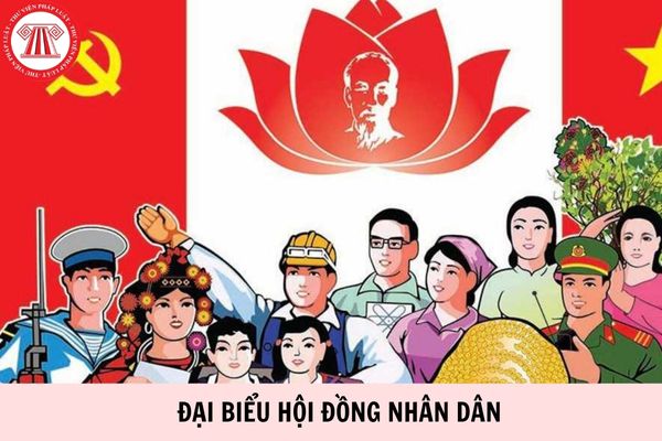 Hỏi đáp Pháp luật