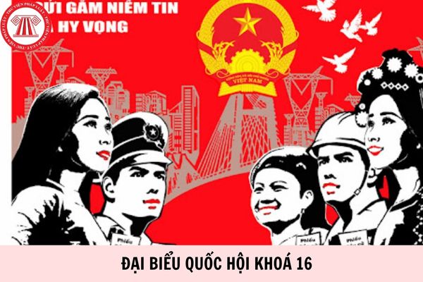 Hỏi đáp Pháp luật