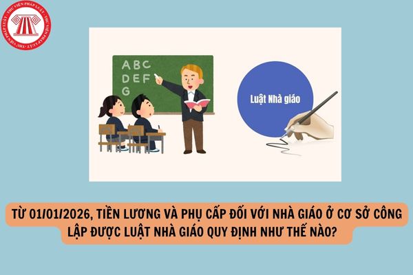 Hỏi đáp Pháp luật