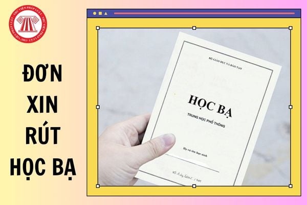 Mẫu đơn xin rút học bạ mới nhất năm 2025? Hướng dẫn cách viết mẫu đơn?