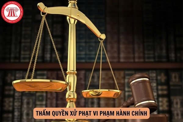 Thẩm quyền xử phạt vi phạm hành chính khi sắp xếp tổ chức bộ máy nhà nước theo Nghị quyết 190?