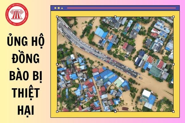 Hỏi đáp Pháp luật