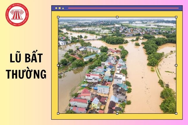 Hỏi đáp Pháp luật
