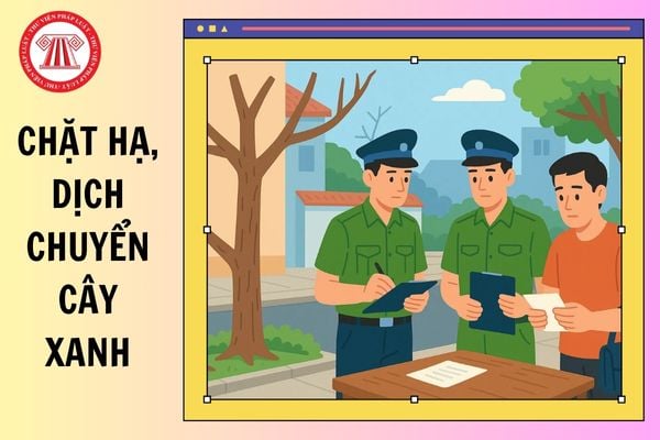Hỏi đáp Pháp luật