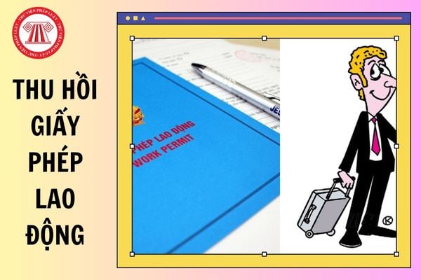 Hỏi đáp Pháp luật