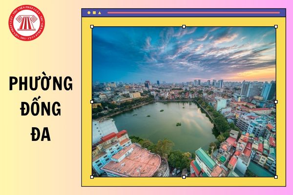 Hỏi đáp Pháp luật
