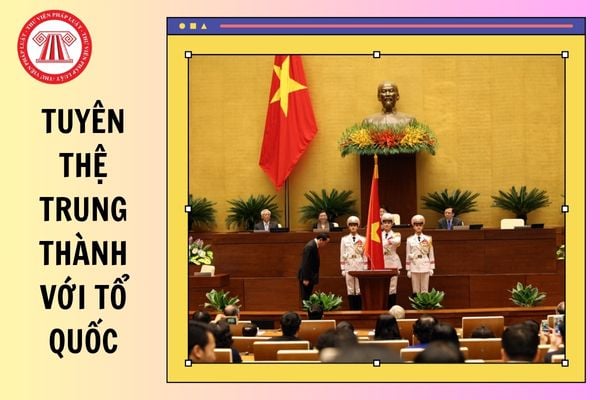 Hỏi đáp Pháp luật