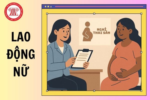 Hỏi đáp Pháp luật