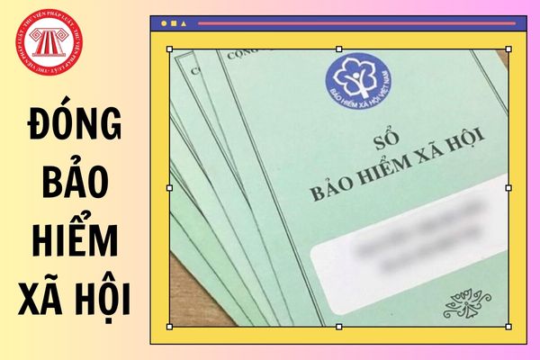 Hỏi đáp Pháp luật
