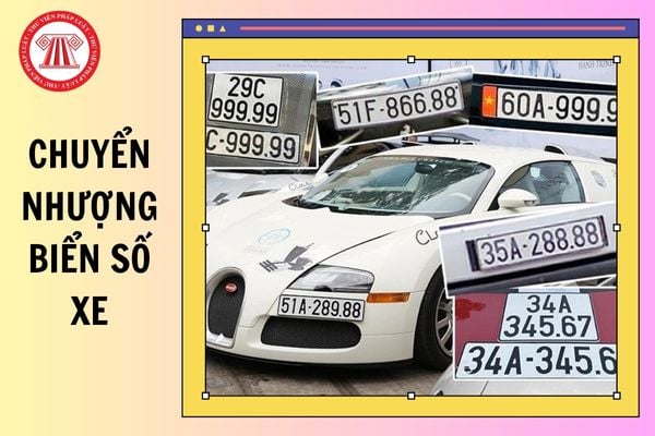 Hỏi đáp Pháp luật