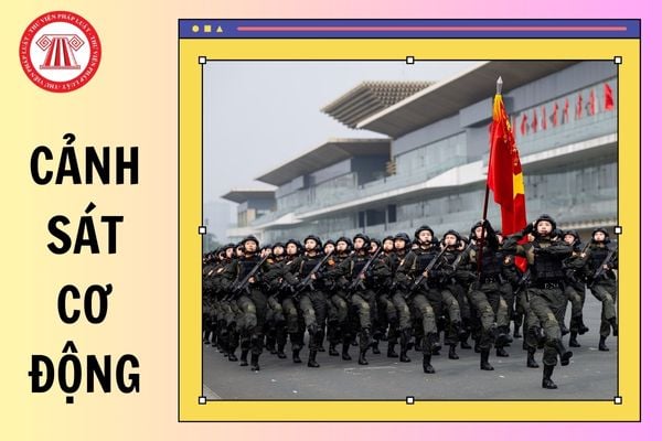 Hỏi đáp Pháp luật