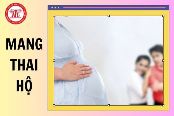 Hỏi đáp Pháp luật