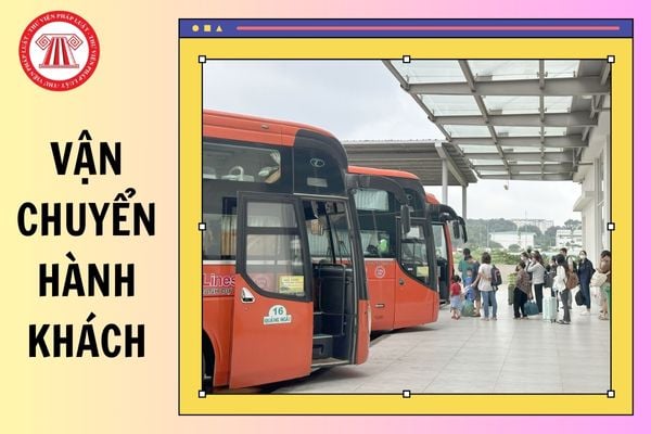 Hỏi đáp Pháp luật