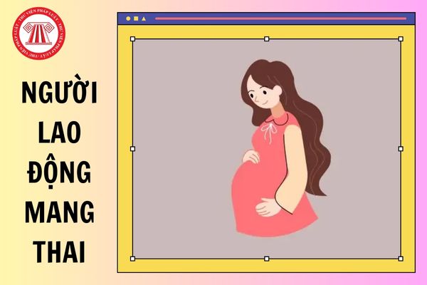 Hỏi đáp Pháp luật
