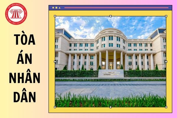 Hỏi đáp Pháp luật