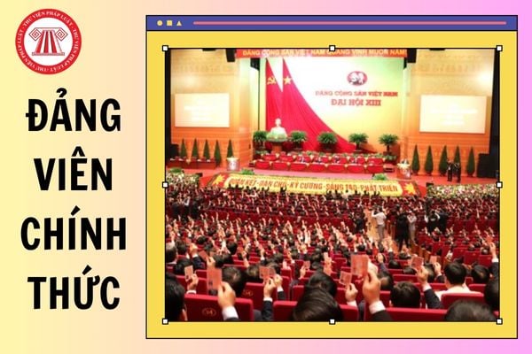 Quy định về thời điểm công nhận Đảng viên chính thức từ 01/7/2025 như thế nào?