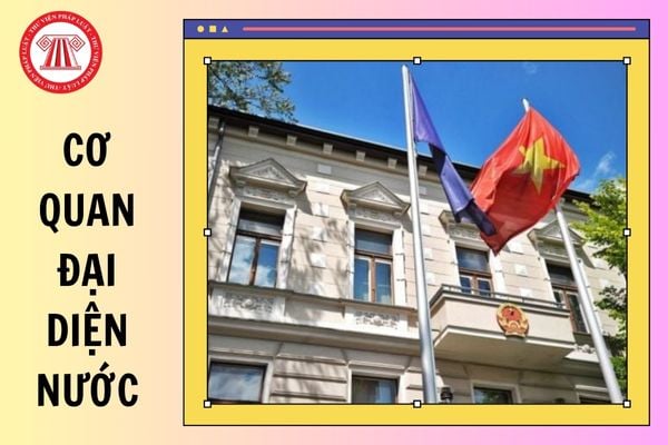 Hỏi đáp Pháp luật