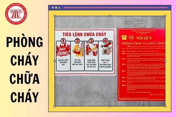 Hỏi đáp Pháp luật
