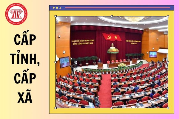 Hỏi đáp Pháp luật