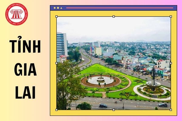 Hỏi đáp Pháp luật