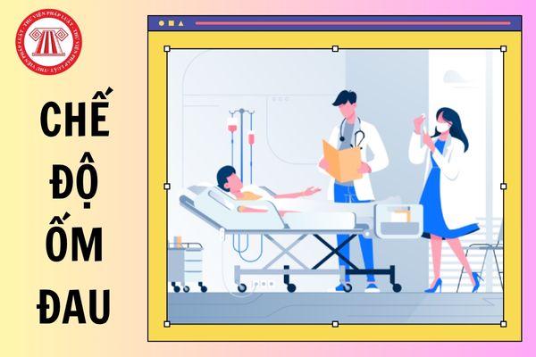 Hỏi đáp Pháp luật