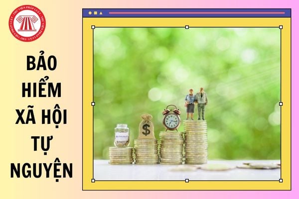 Hỏi đáp Pháp luật