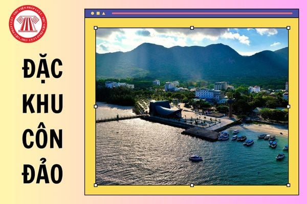 Đặc khu Côn Đảo TP Hồ Chí Minh được hình thành bởi huyện nào sau sáp nhập từ 1/7/2025?