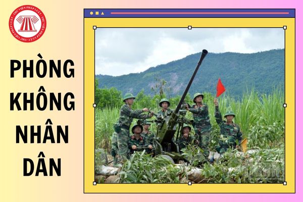 Hỏi đáp Pháp luật