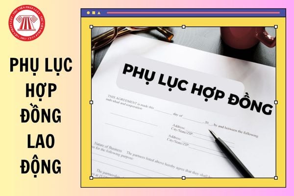 Hỏi đáp Pháp luật