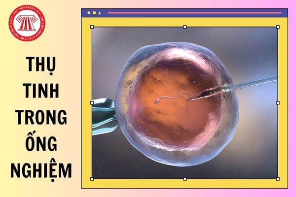 Cơ sở thực hiện kỹ thuật thụ tinh trong ống nghiệm cần điều kiện gì?