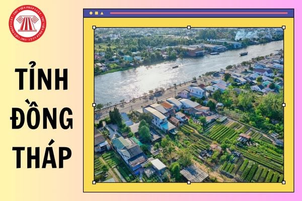 Hỏi đáp Pháp luật