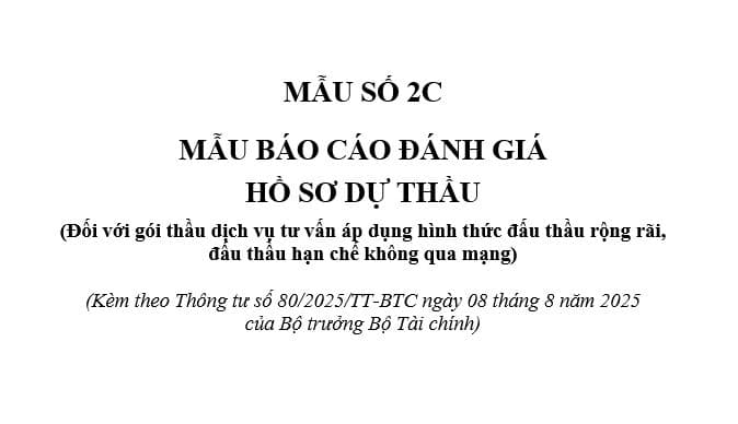 Báo cáo đánh giá hồ sơ dự thầu gói thầu dịch vụ tư vấn áp dụng hình thức đấu thầu rộng rãi, đấu thầu hạn chế không qua mạng