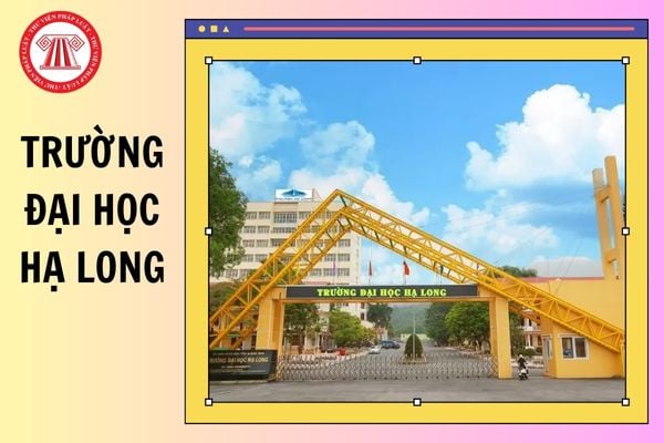 Chính thức có ĐIỂM CHUẨN Trường Đại học Hạ Long 2025 chi tiết lấy bao nhiêu điểm?