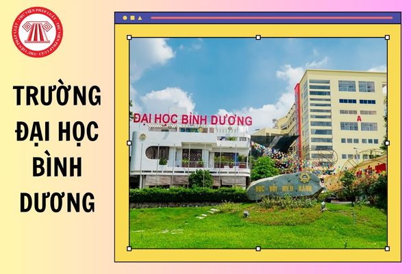 Chính thức có ĐIỂM CHUẨN Trường Đại học Bình Dương 2025 chi tiết lấy bao nhiêu điểm?