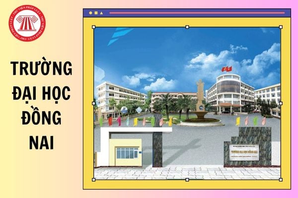 Chính thức có ĐIỂM CHUẨN Trường Đại học Đồng Nai 2025 chi tiết lấy bao nhiêu điểm?