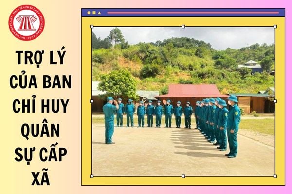 Hỏi đáp Pháp luật