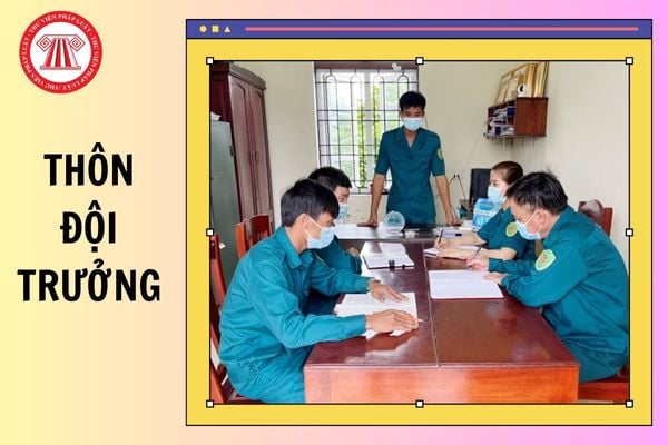 Hỏi đáp Pháp luật