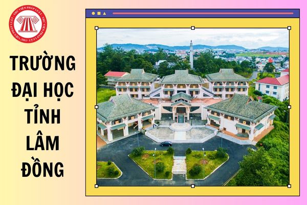 ĐIỂM CHUẨN các trường Đại học tỉnh Lâm Đồng 2025 chi tiết thế nào?