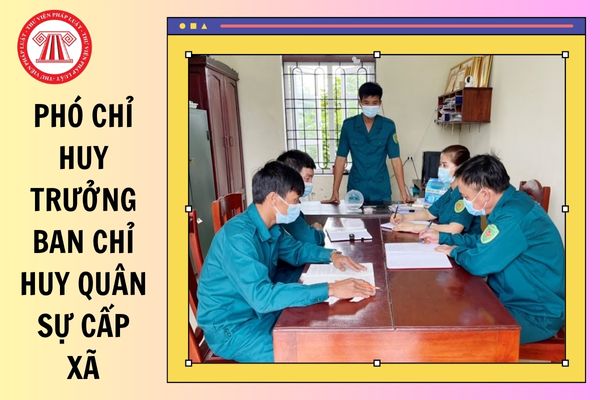 Hỏi đáp Pháp luật