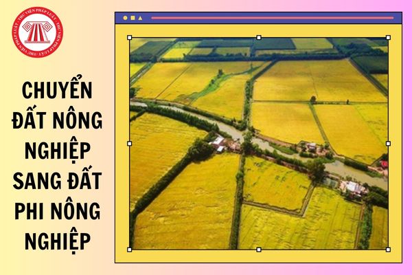 Sử dụng đất nông nghiệp sang đất phi nông nghiệp có cần phải làm thủ tục xin chuyển mục đích sử dụng đất không?