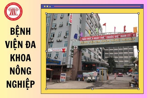 Hỏi đáp Pháp luật