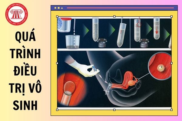 Hỏi đáp Pháp luật