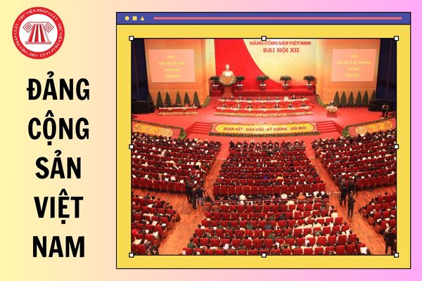Hỏi đáp Pháp luật