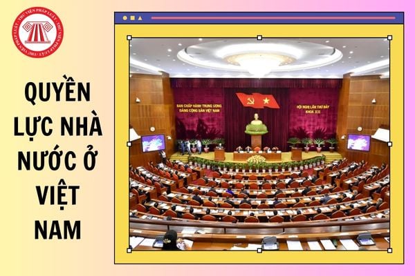 Quyền lực nhà nước ở Việt Nam được tổ chức như thế nào?