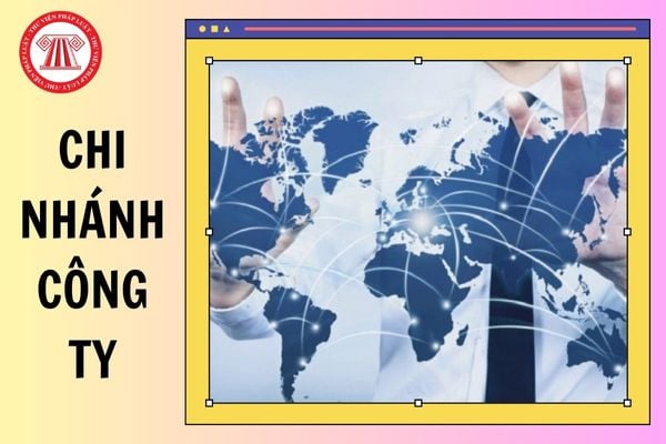 Download mẫu quy chế hoạt động của chi nhánh công ty mới nhất ở đâu?