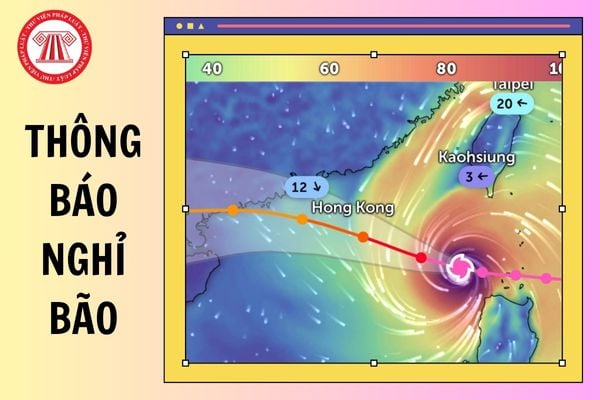 Hỏi đáp Pháp luật