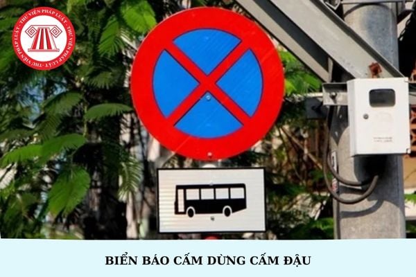 Biển báo cấm dừng cấm đậu là biển nào? Dừng xe, đỗ xe có cần bật đèn báo không?