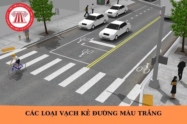 Các loại vạch kẻ đường màu trắng? Vạch kẻ đường màu trắng có ý nghĩa gì?